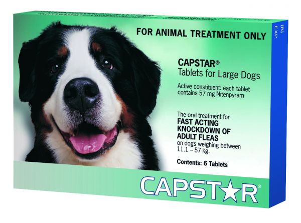 CAPSTAR UP TO 57KG  6'S GREEN