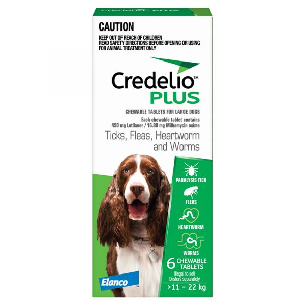 CREDELIO PLUS LARGE GREEN 6'S