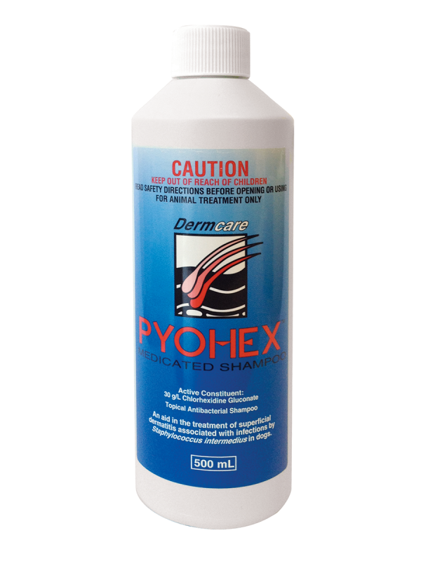 PYOHEX MEDICATED FOAM 500ML