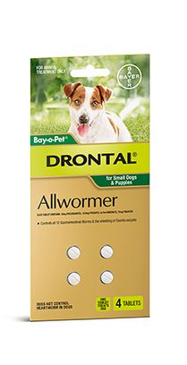 Drontal tabs best sale