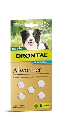 DRONTAL TABS DOG 10KG MEDIUM 5'S