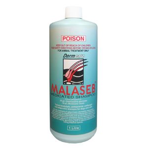 MALASEB MEDICATED FOAM 1L