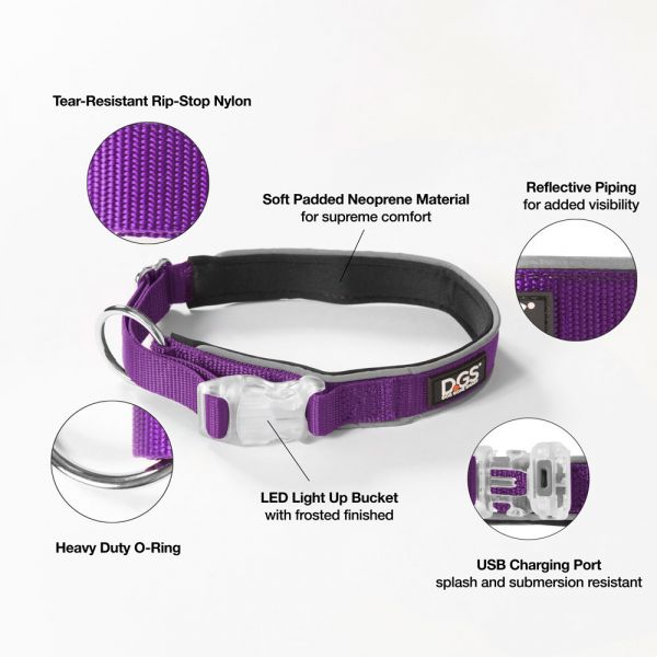 DGS LED COLLAR MED PURPLE     