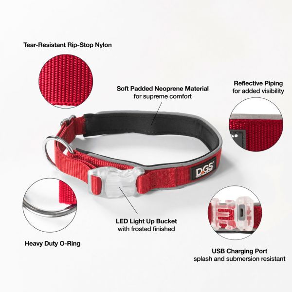 DGS LED COLLAR MED RED        