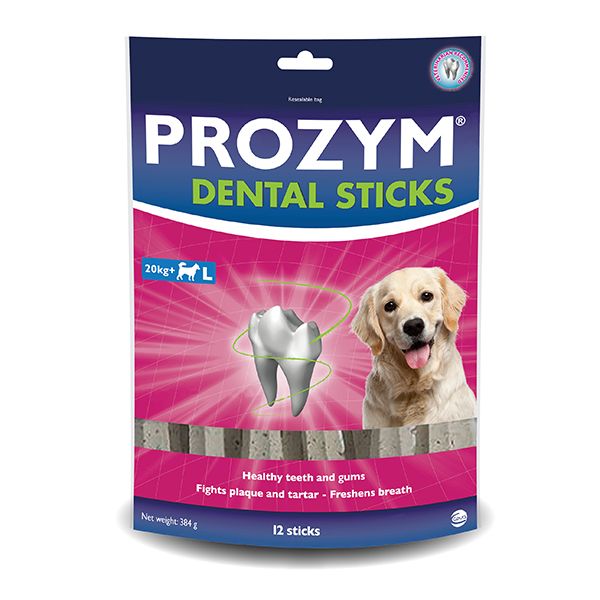 PROZYM DENTAL STICKS LGE 384G