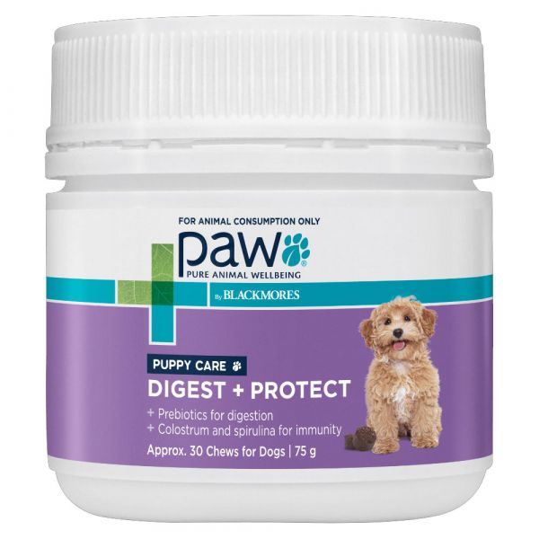 PAW PUPPY DIGEST & PROTECT CARE 75G